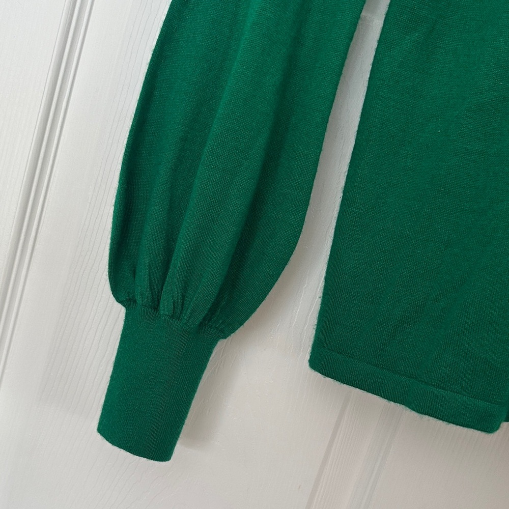 Ralph Lauren Black Label Green Cashmere Silk Turtleneck Sweater - Picture 5 of 9